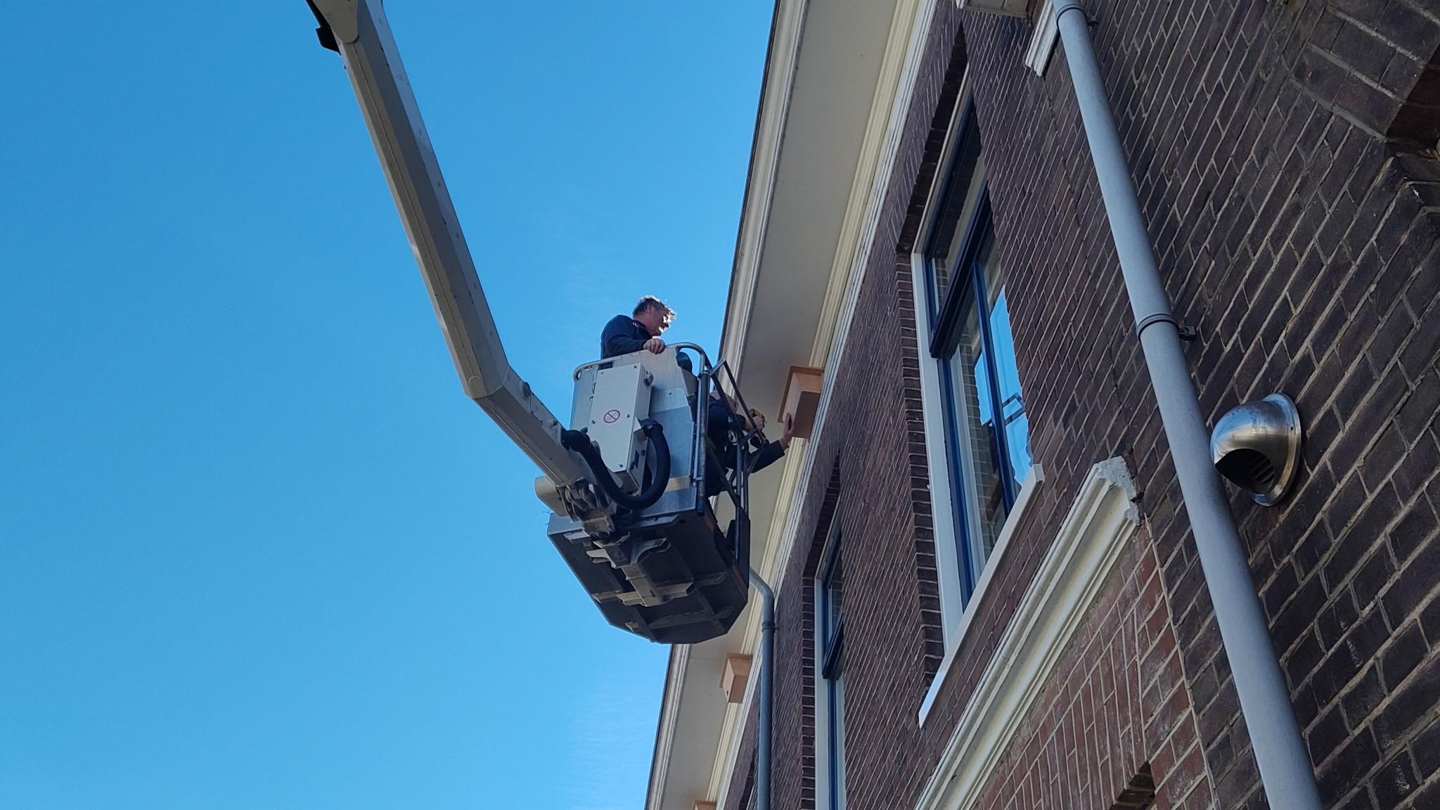 De gierzwaluw krijgt een thuis bij Sint Martens Hof